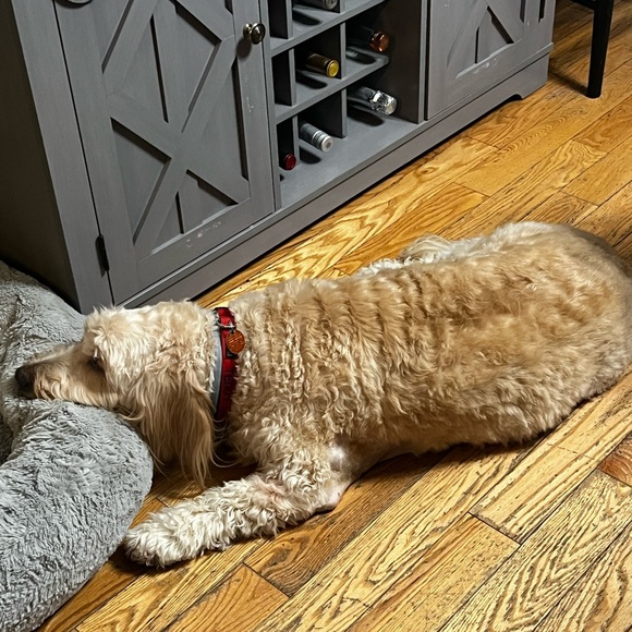 Going Live in 30 minutes! Shop in Diane’s basement! Please tag your friends!! - Picture 4 of 5